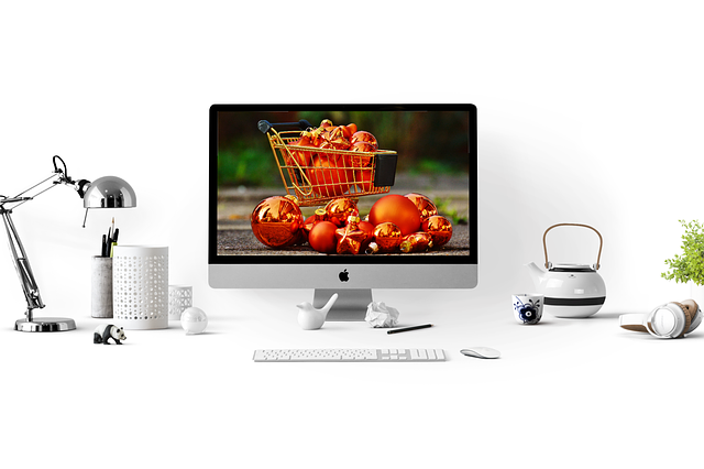 Customer Loyalty and Experience