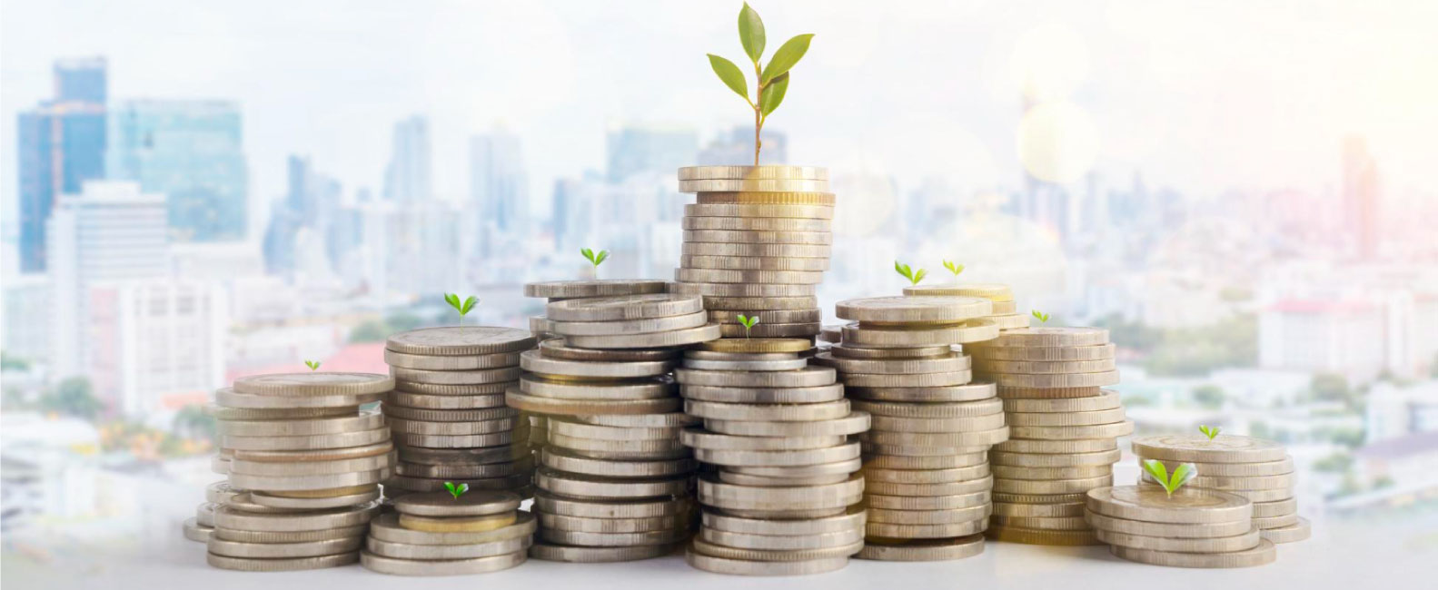 Financial Investors Group