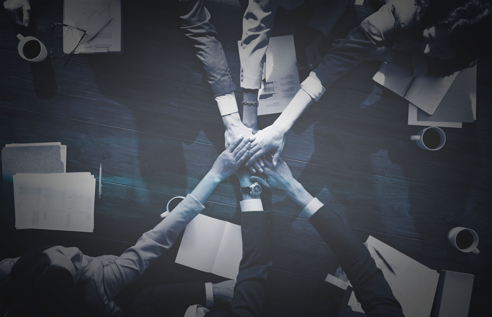 Financial Investors Group