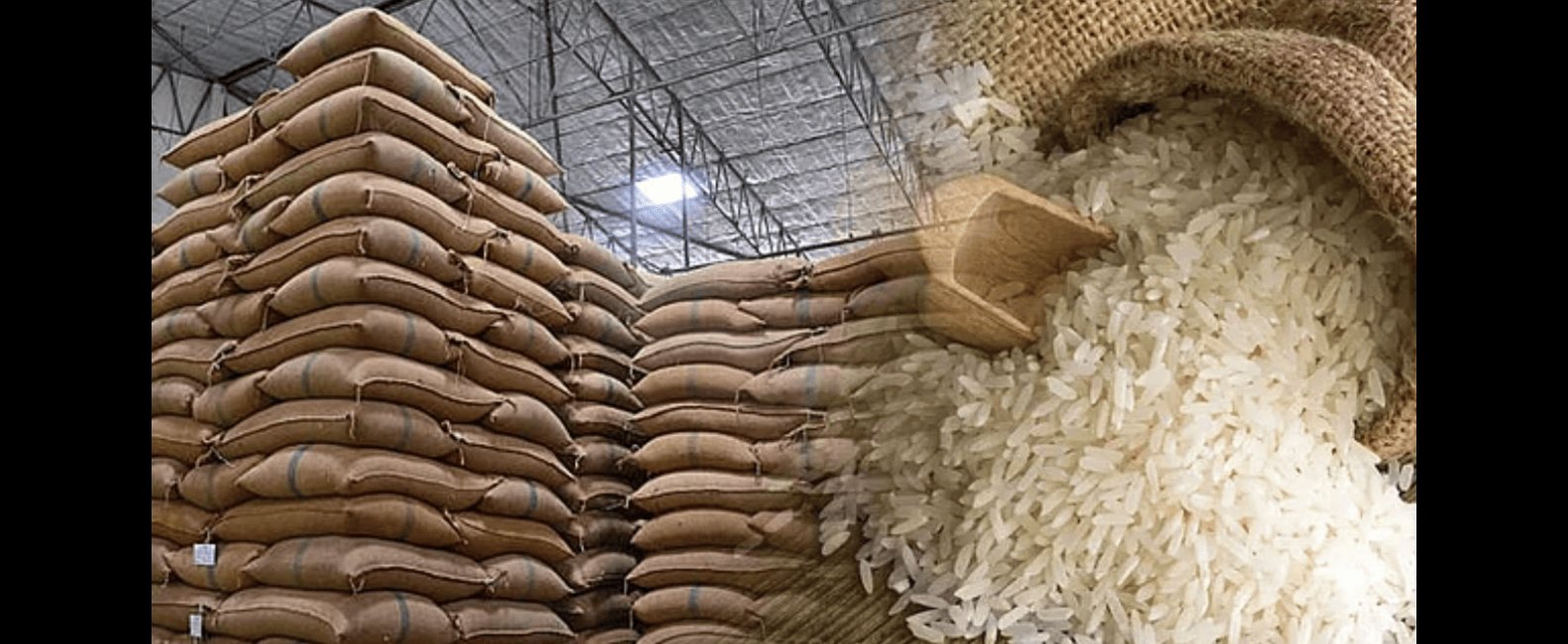 Food and Agriculture