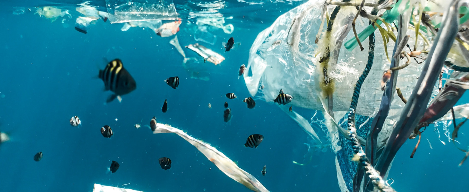 Industrial Goods, and Services