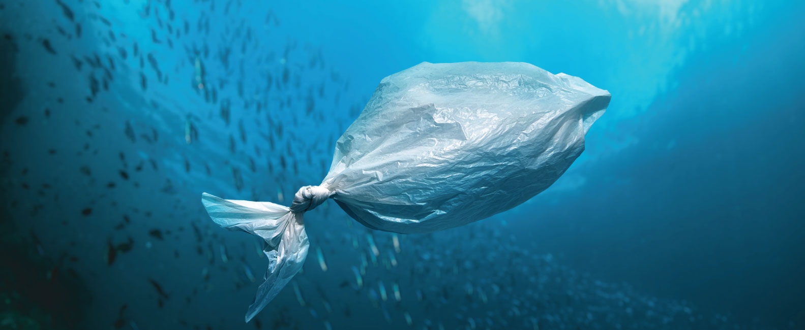 Industrial Goods, and Services