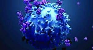 Healthcare and Lifesciences 