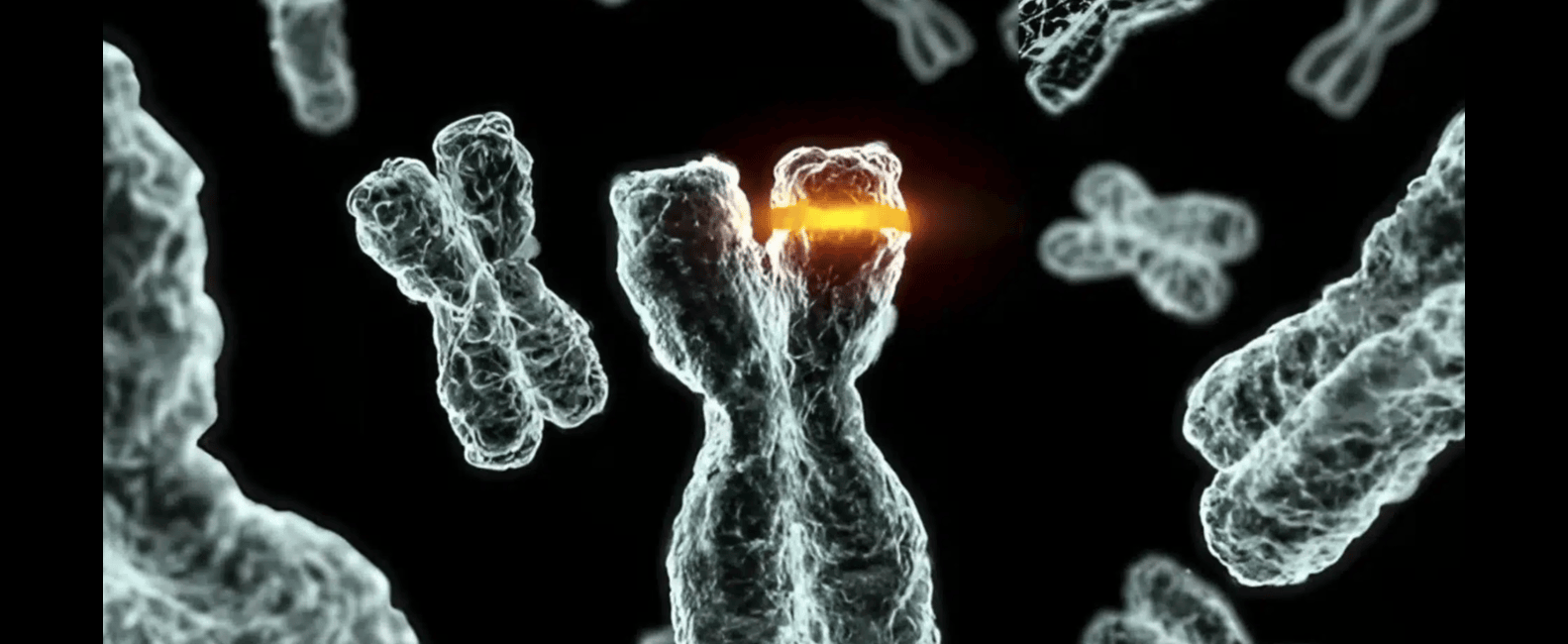 Healthcare & Lifesciences  