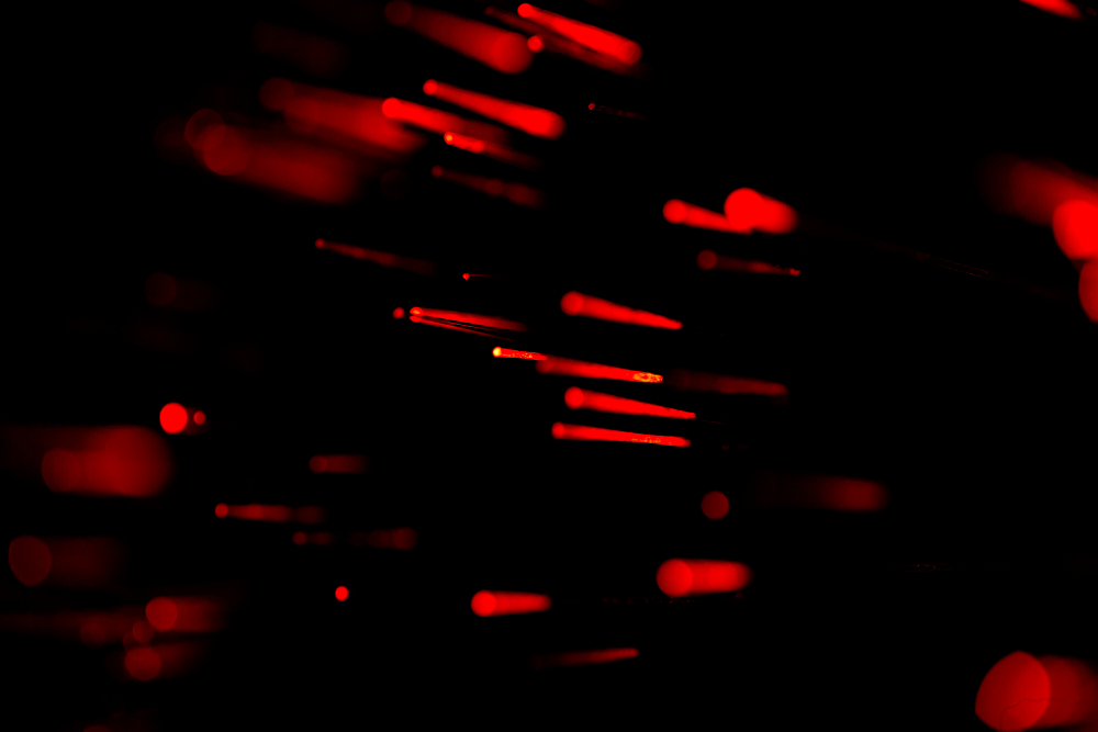 Technology and Business Services 