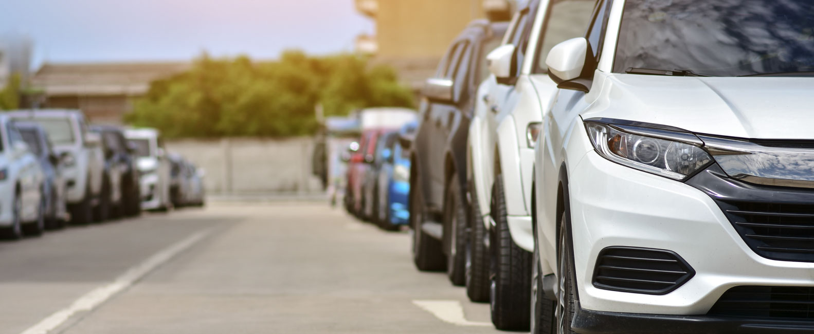 Technology and Internet 