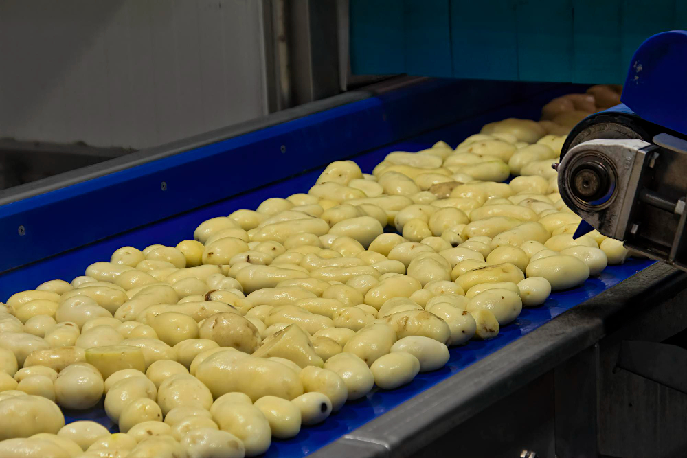 Investment-opportunities-in-agriculture-processing