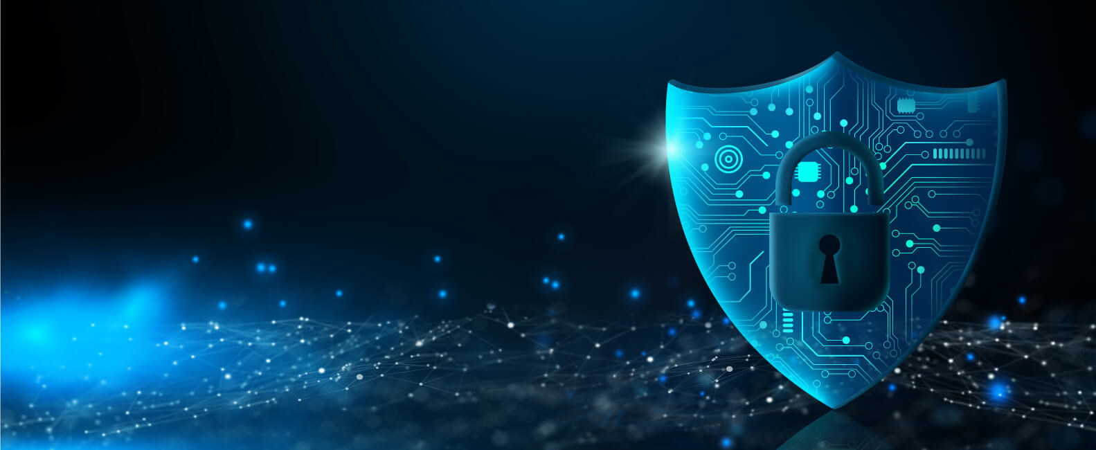 driving-renewals-and-cross-sell-for-a-leading-digital-insurance-broker