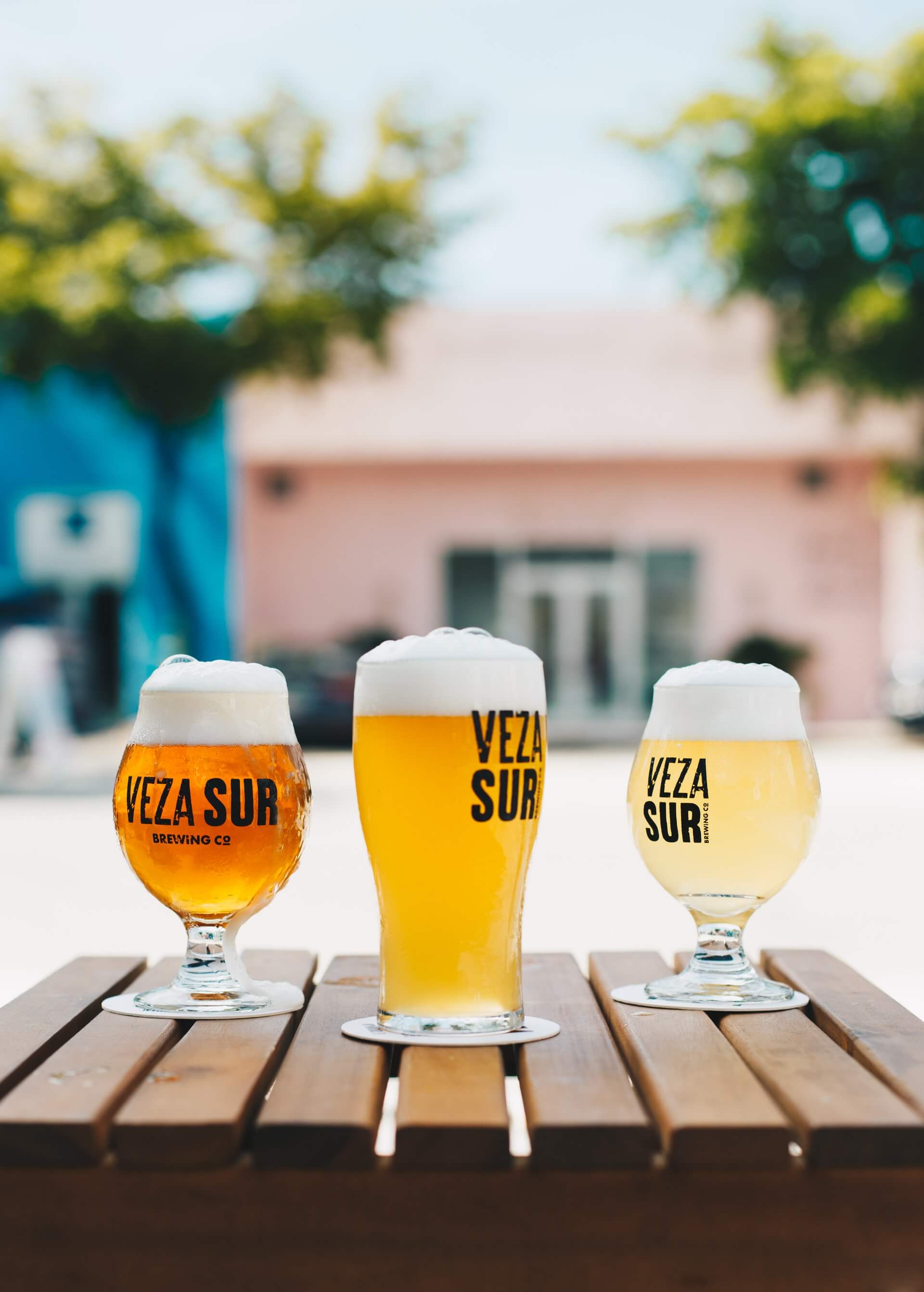 commercial-due-diligence-on-a-leading-premium-beer-brand-for-a-global-pe-firm