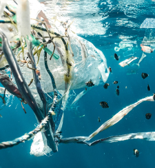 india-recycles-only-30-per-cent-of-3-4-mt-plastic-waste-generated-annually-report