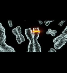 vaccine-discovery-for-aids-and-cancer-is-no-longer-a-distant-dream