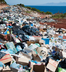 why-innovation-is-needed-to-battle-wild-wild-waste