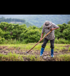 india-s-agriculture-journey-key-milestones-of-2024-and-roadmap-for-2025